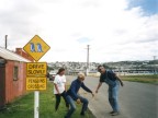Penguin Crossing.JPG (65 KB)